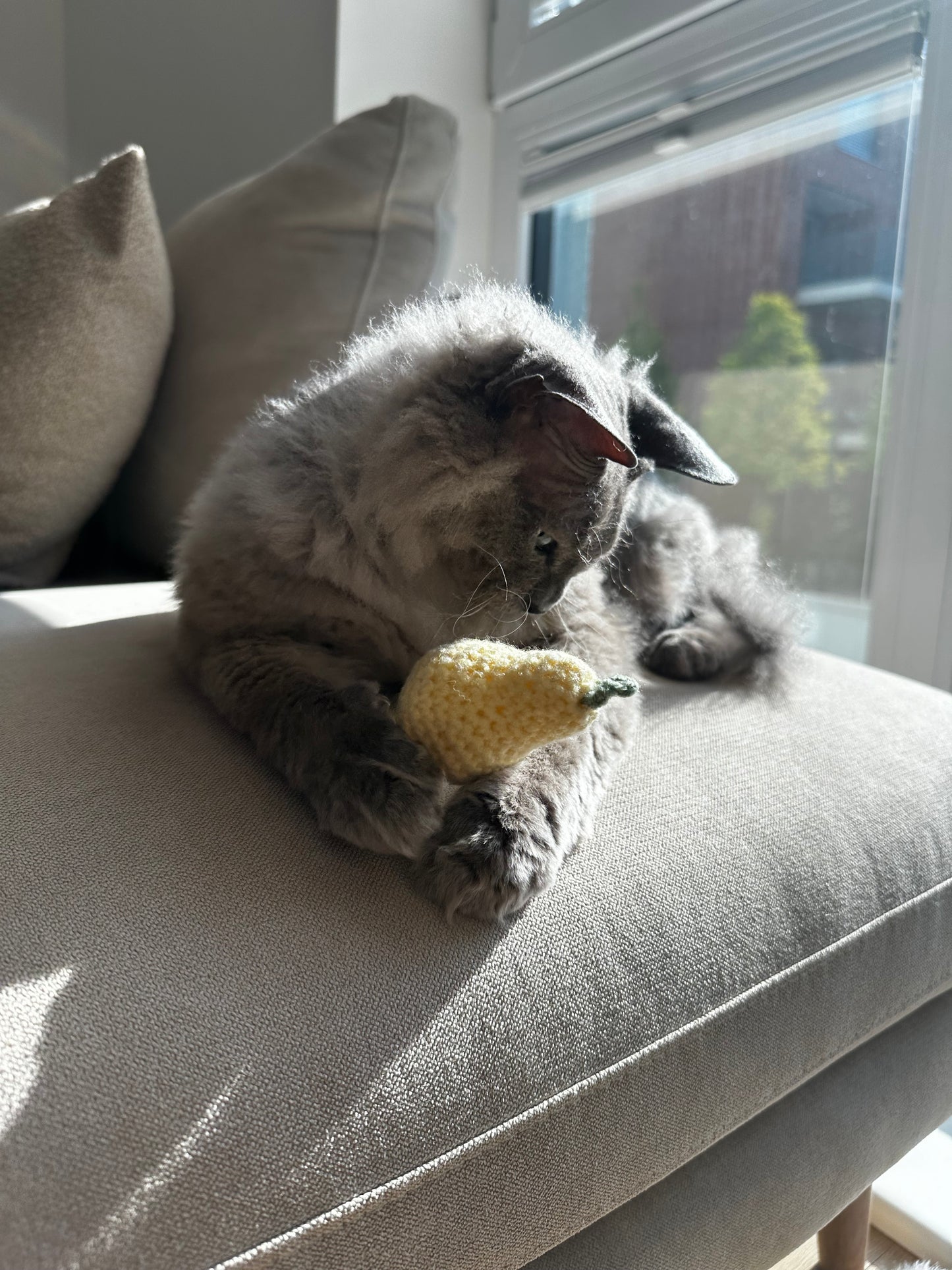 HL SPIELZEUG GEHÄKELTE BIRNE FÜR HAUSTIERE