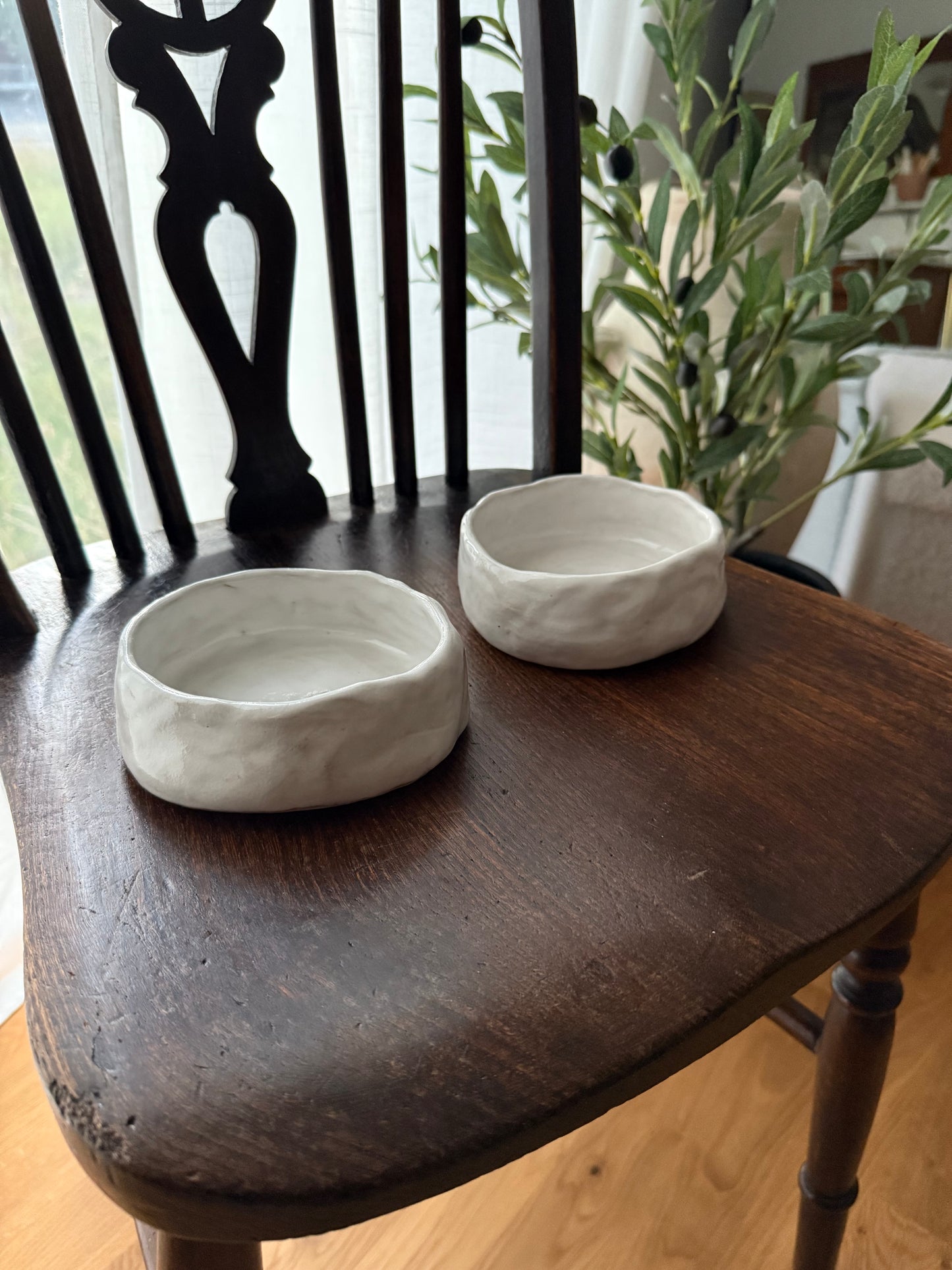 HL PET BOWL SET
